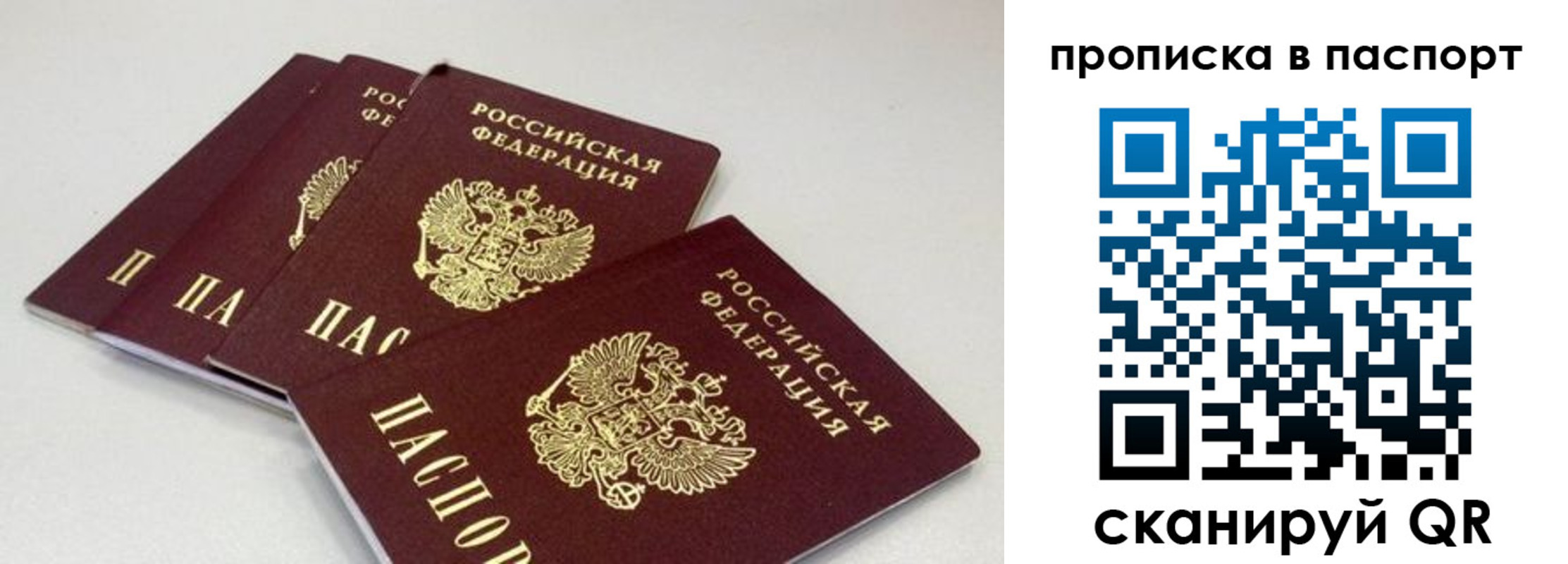 найти адрес прописки в Галиче